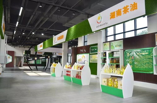 邵陽新增AAA級(jí)景區(qū)名單公示，趁秋高氣爽，來一場技術(shù)與自然的融合之旅